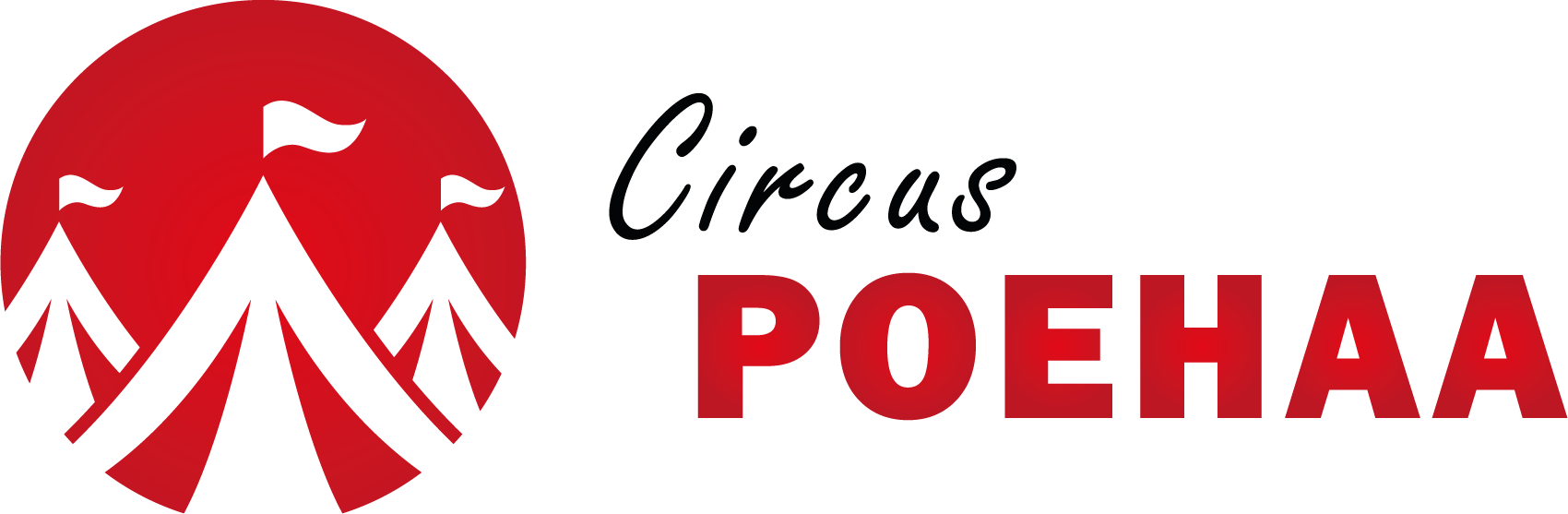 Winter Circus Workshop