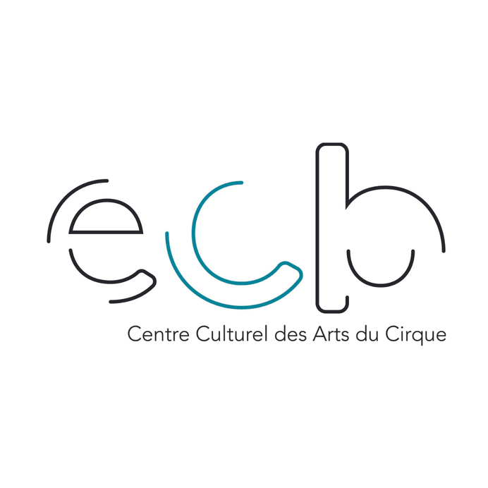 Mise à Niveau — Foundation Year in Circus Arts