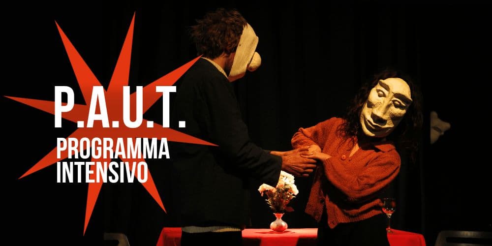 PAUT – Intensive program